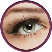 Permanentni make up obrvi Dermal